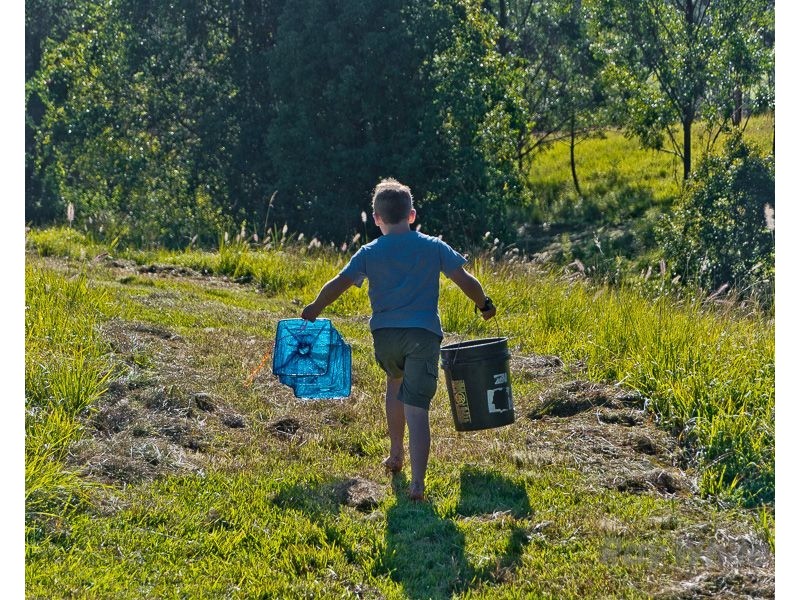 488 Mount Pleasant Road, Mount Pleasant QLD 4521