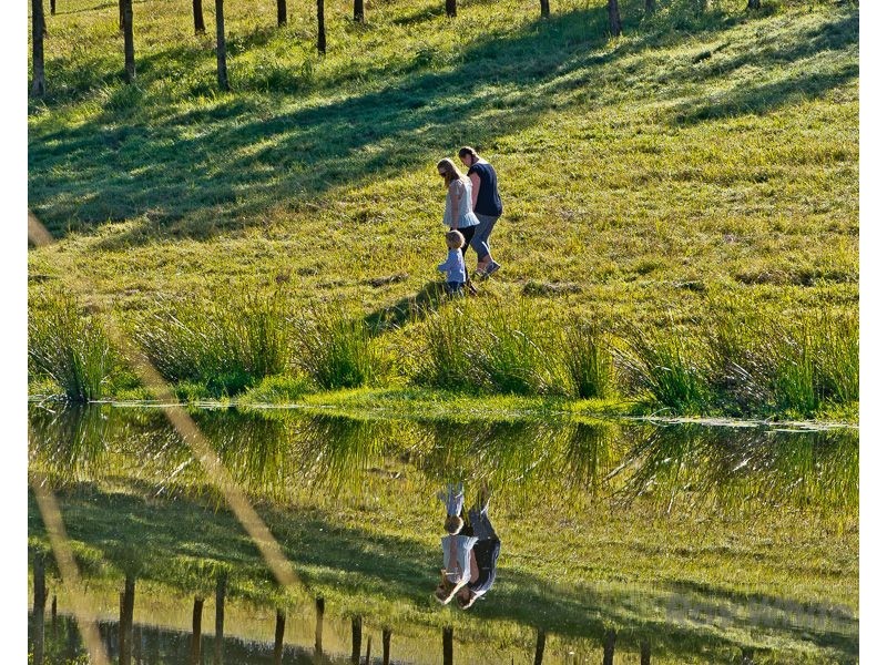 488 Mount Pleasant Road, Mount Pleasant QLD 4521