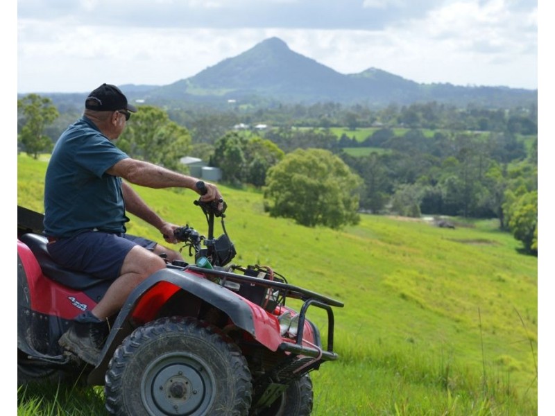 118 Bagnalls Road, Cooroy QLD 4563