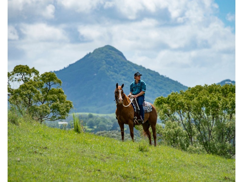 118 Bagnalls Road, Cooroy QLD 4563