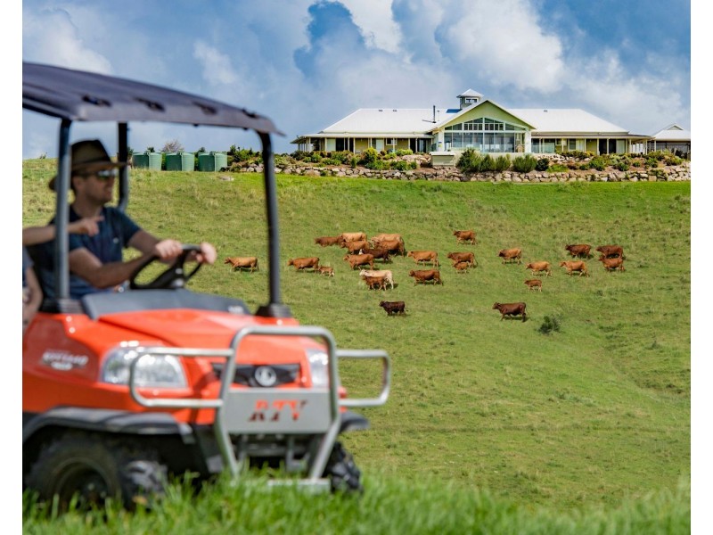 24 Duncan Road, Mount Mee QLD 4521