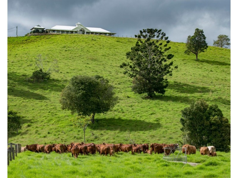 24 Duncan Road, Mount Mee QLD 4521