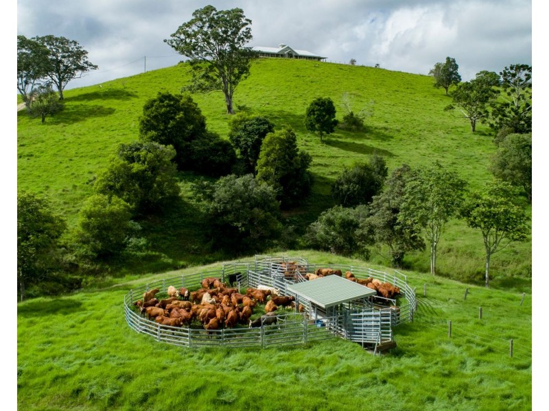 24 Duncan Road, Mount Mee QLD 4521