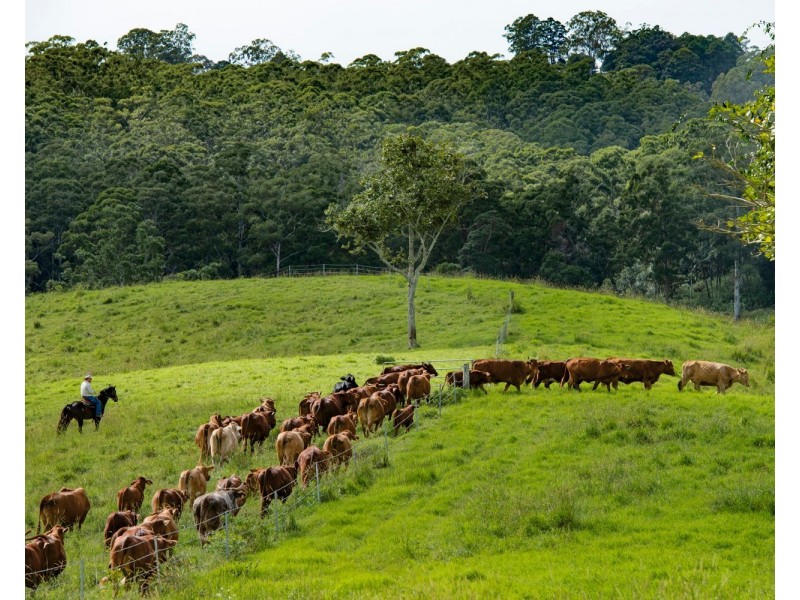 24 Duncan Road, Mount Mee QLD 4521