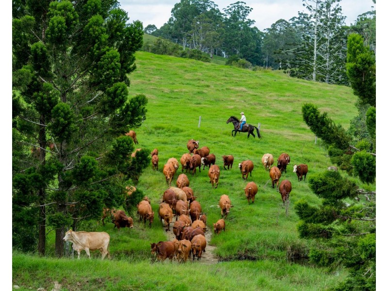 24 Duncan Road, Mount Mee QLD 4521