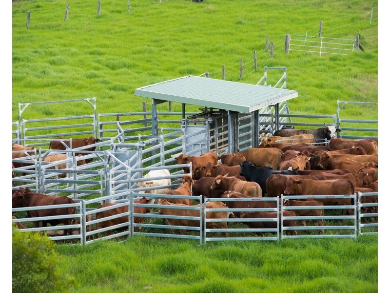 24 Duncan Road, Mount Mee QLD 4521