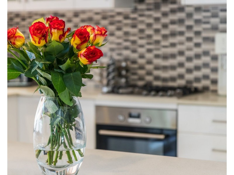 7 Stradbroke Drive, Little Mountain QLD 4551