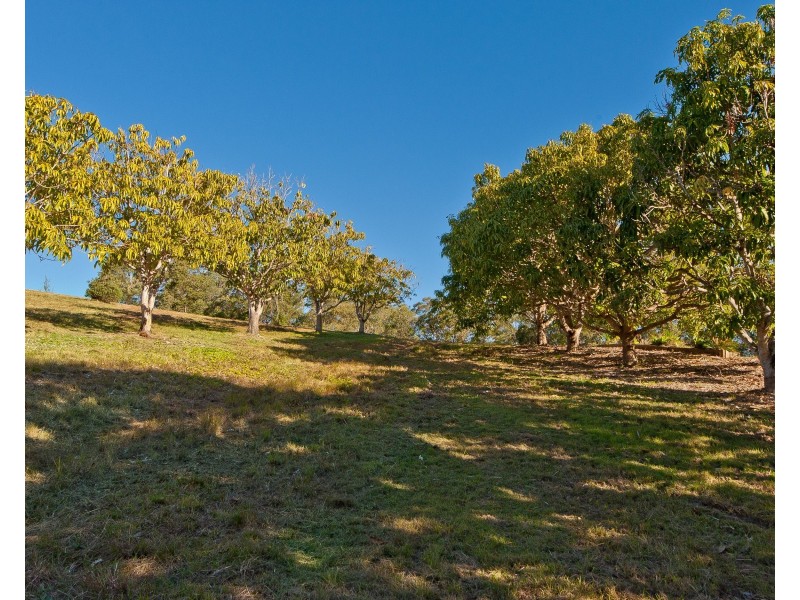 Armstrong Creek QLD 4520