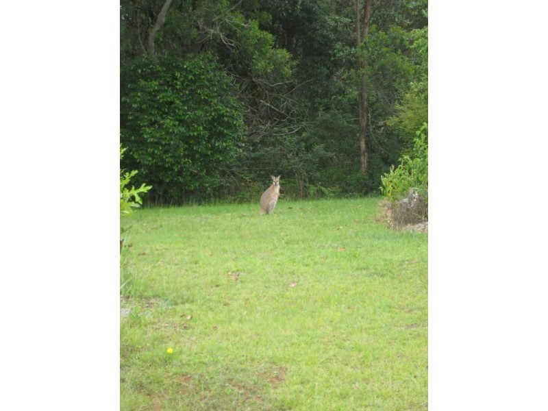 Lot 5 Sunrise, Dayboro QLD 4521