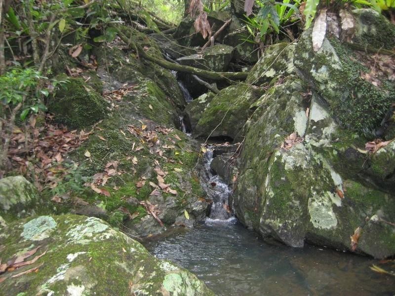 Lot 5 Sunrise, Dayboro QLD 4521