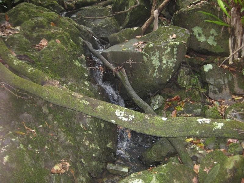 Lot 5 Sunrise, Dayboro QLD 4521