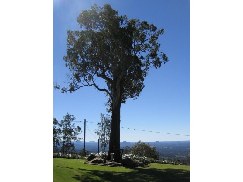 54 Jinibara Court, Dayboro QLD 4521