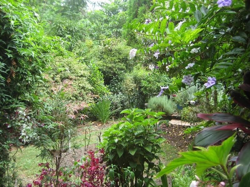 57 Laidlaw Street, Dayboro QLD 4521