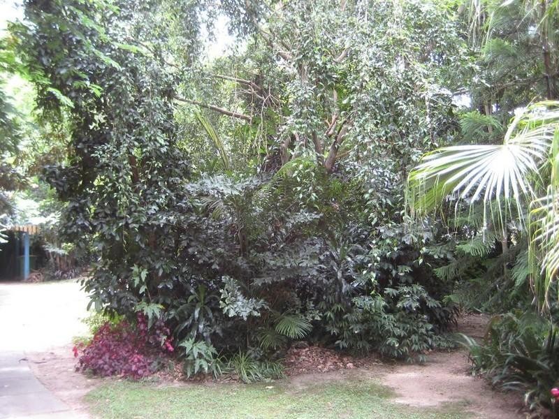 57 Laidlaw Street, Dayboro QLD 4521