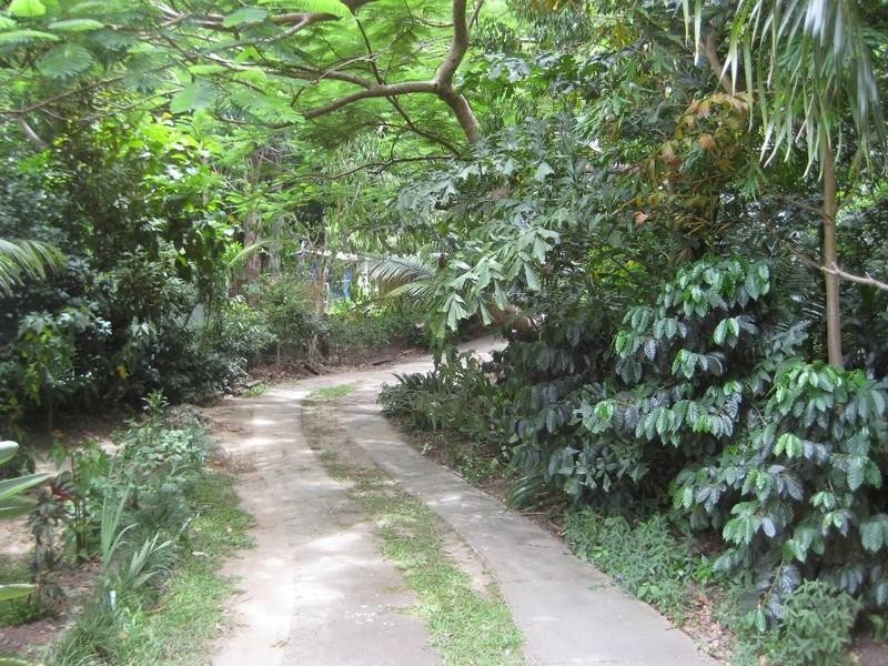 57 Laidlaw Street, Dayboro QLD 4521