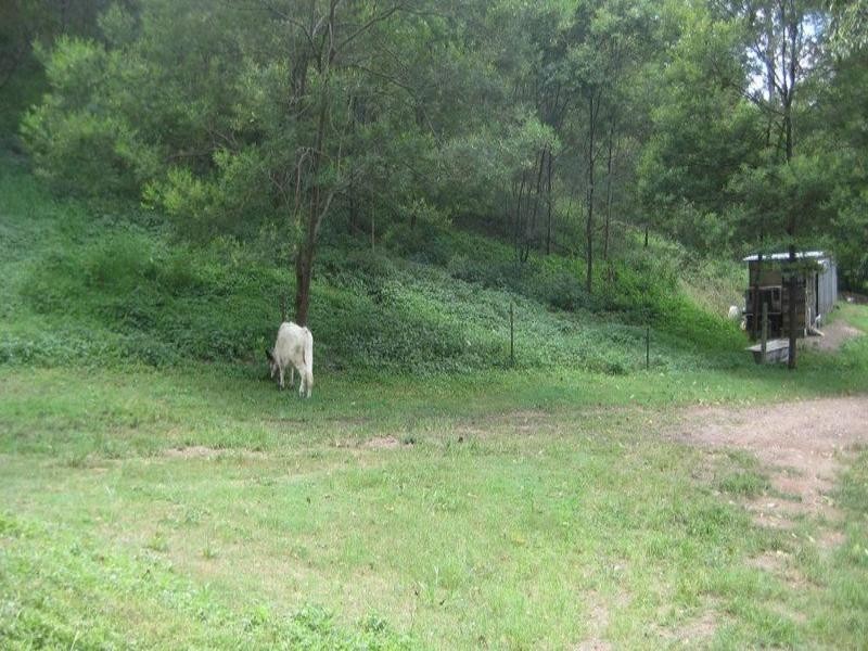 543 Mt Brisbane, Dayboro QLD 4521