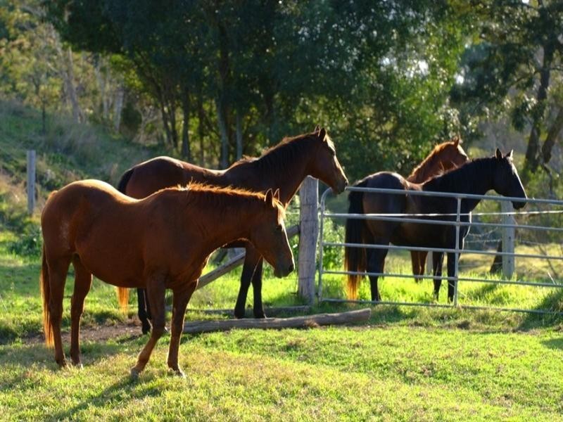 268 Mount Samson Road, Armstrong Creek QLD 4520