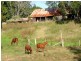 268 Mount Samson Road, Armstrong Creek QLD 4520