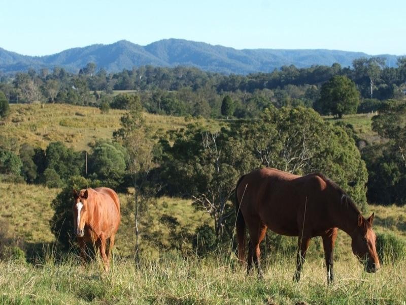 268 Mount Samson Road, Armstrong Creek QLD 4520