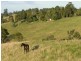 268 Mount Samson Road, Armstrong Creek QLD 4520