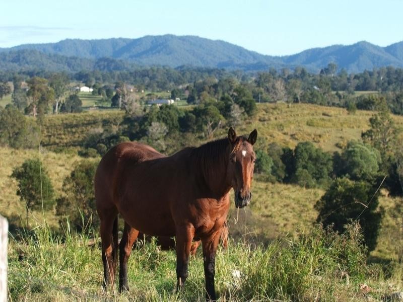 268 Mount Samson Road, Armstrong Creek QLD 4520