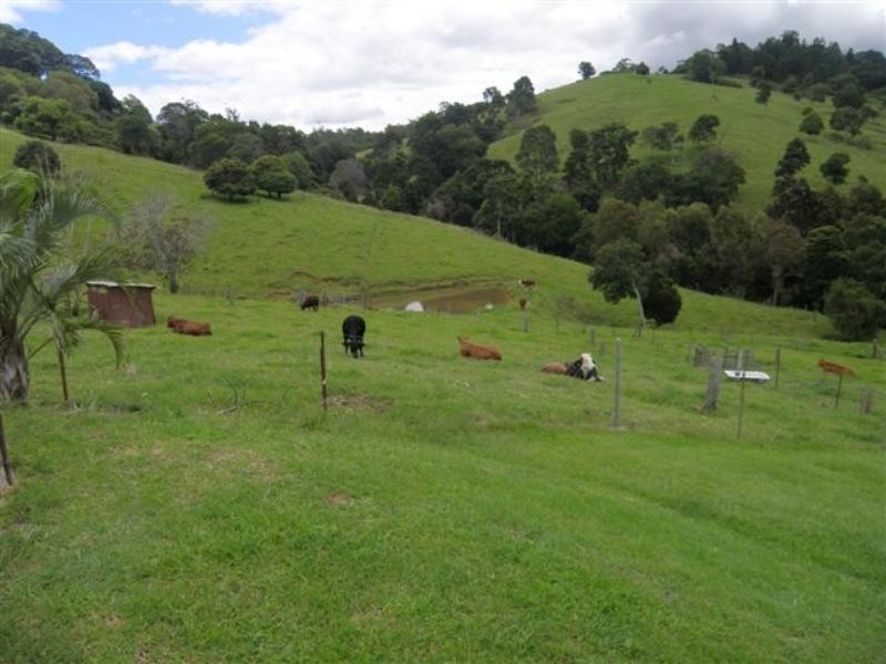 14 May Road, Dayboro QLD 4521