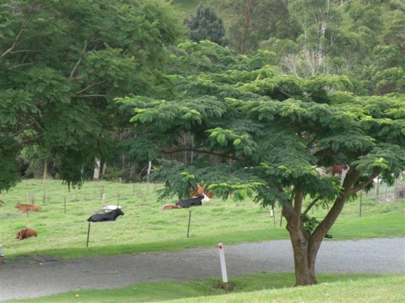 14 May Road, Dayboro QLD 4521