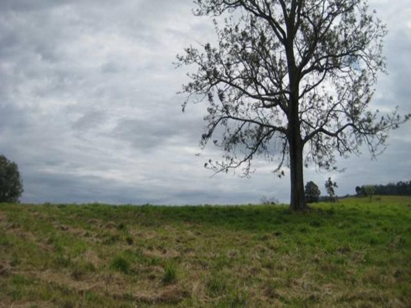 4 Oakland Court, Dayboro QLD 4521