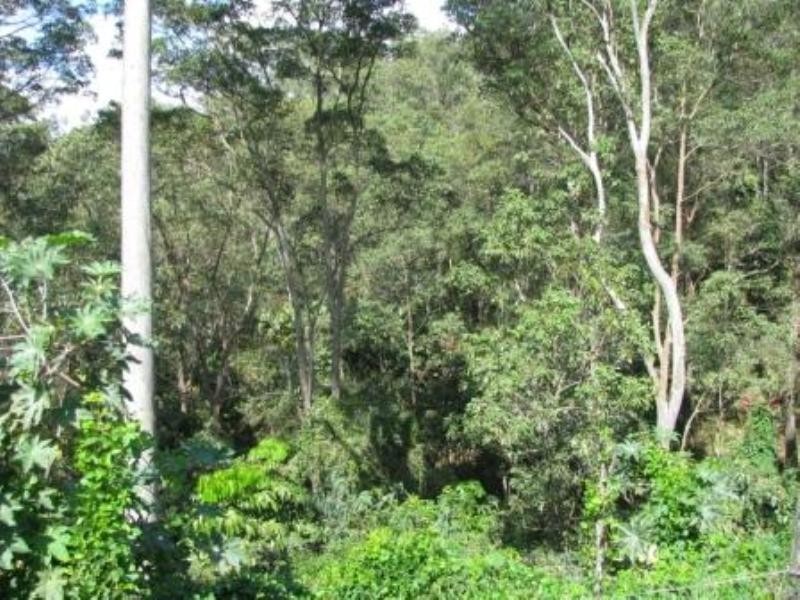 1107 Dayboro Road, Whiteside QLD 4503