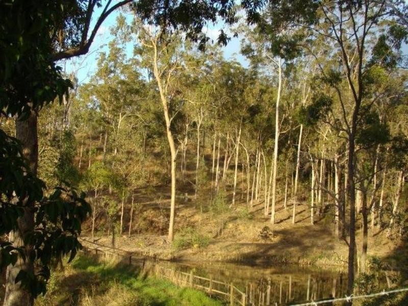 1019 DAYBORO Road, Dayboro QLD 4521