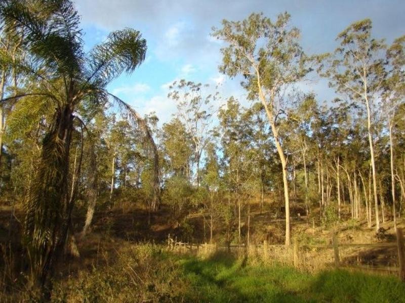 1019 DAYBORO Road, Dayboro QLD 4521