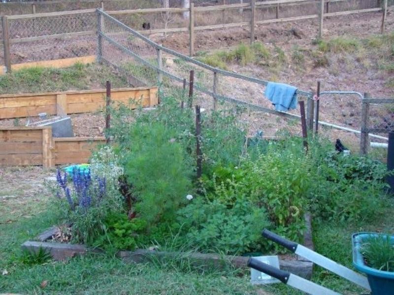 1019 DAYBORO Road, Dayboro QLD 4521