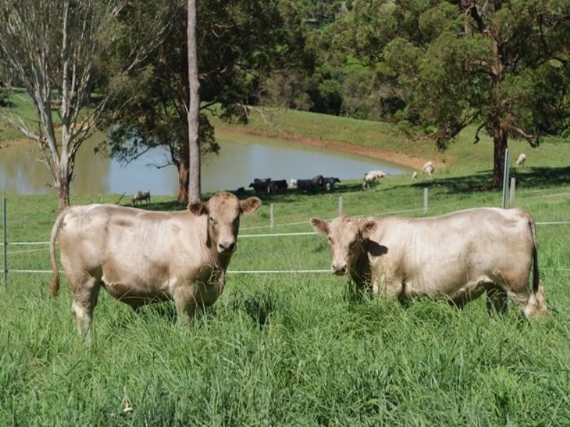 0 Robinson Road, Dayboro QLD 4521