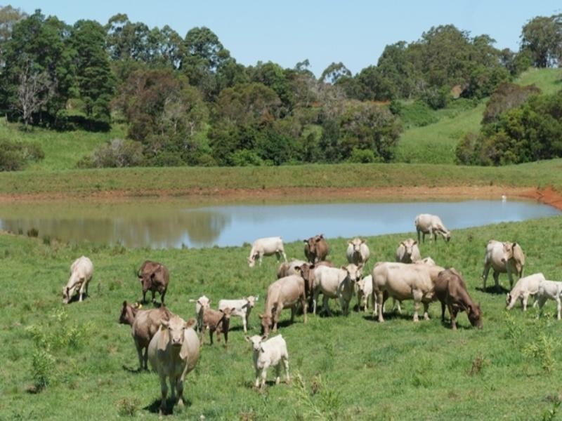 0 Robinson Road, Dayboro QLD 4521