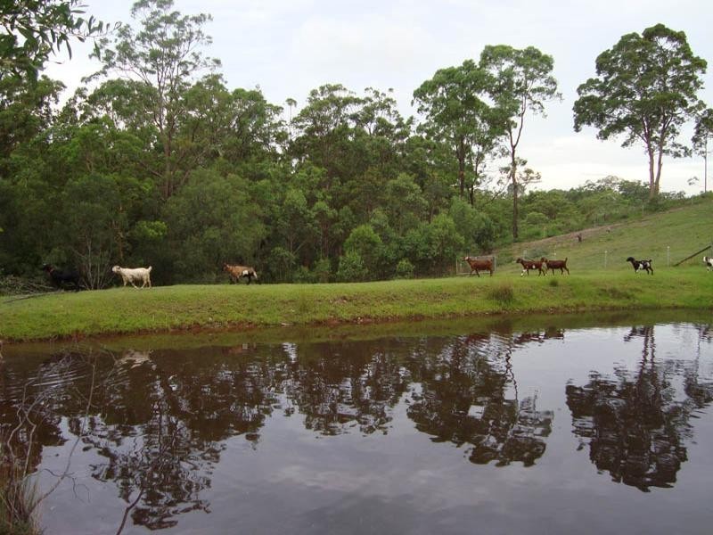 115 Kobble Creek Road, Samford QLD 4520