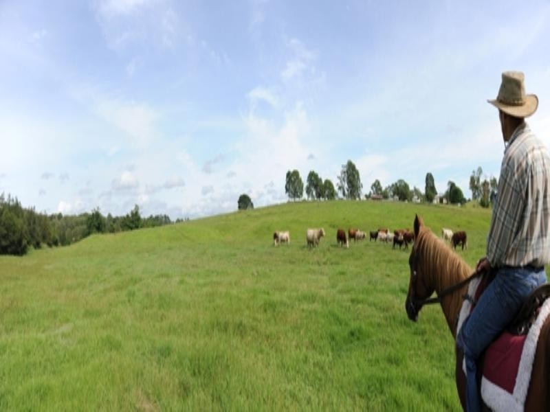 909 Bunya Road, Samford QLD 4520