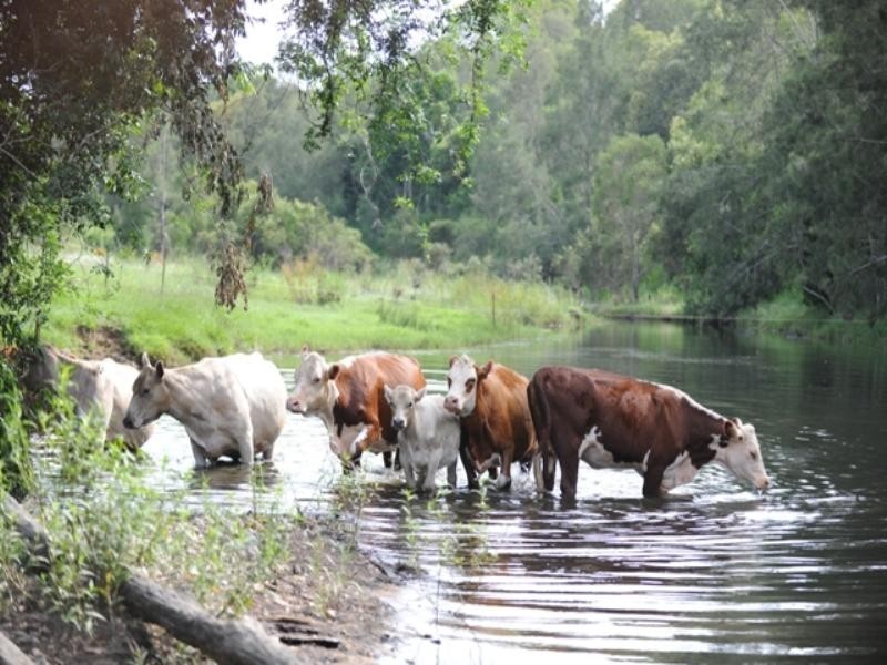 909 Bunya Road, Samford QLD 4520