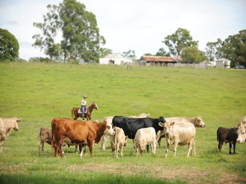 909 Bunya Road, Samford QLD 4520