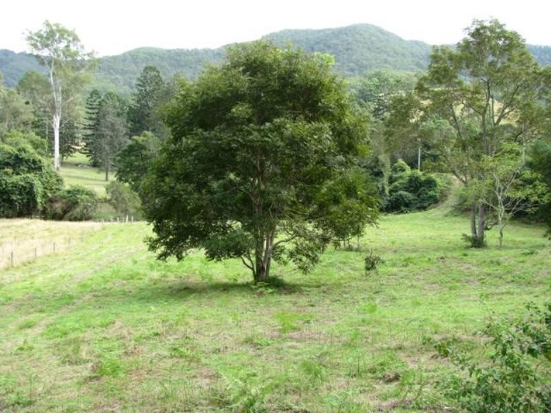 1385 Laceys Creek Road, Dayboro QLD 4521