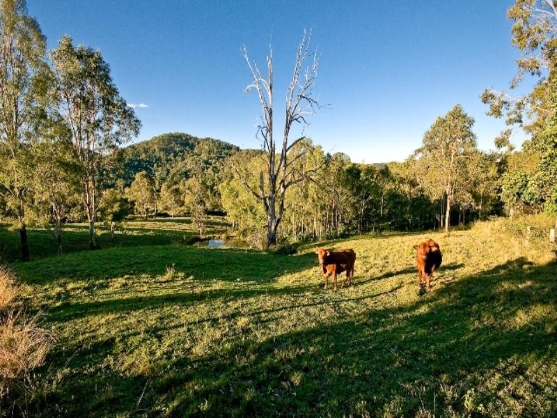 25 Gymkhana Place, Dayboro QLD 4521