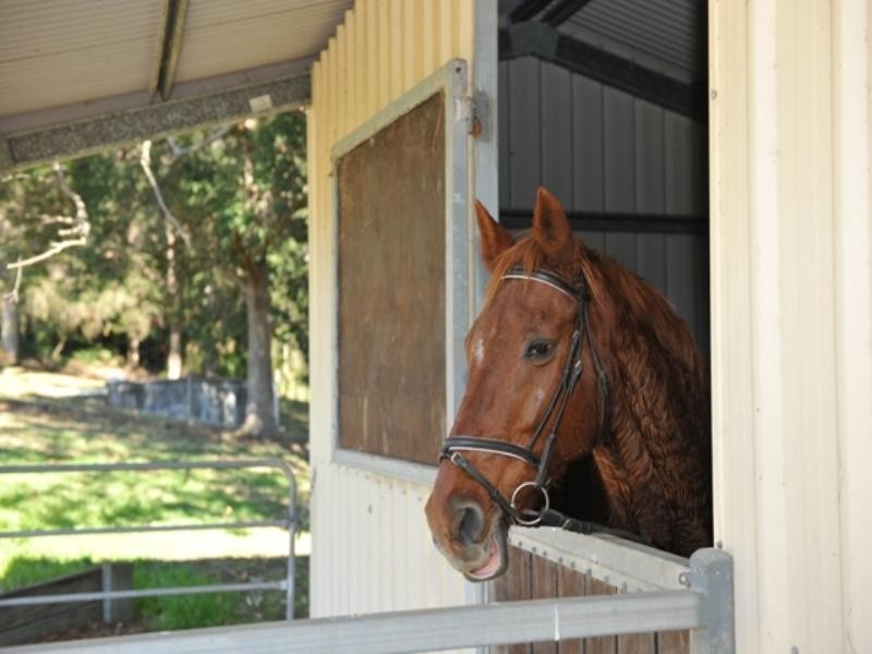 256 Foggs Road, Samford QLD 4520