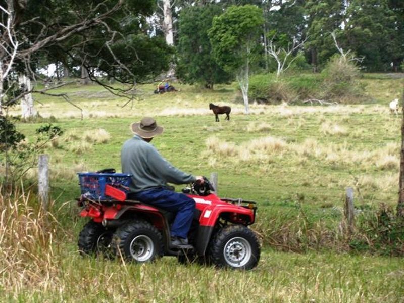 Lot 1 Pedwell Road, Mount Mee QLD 4521