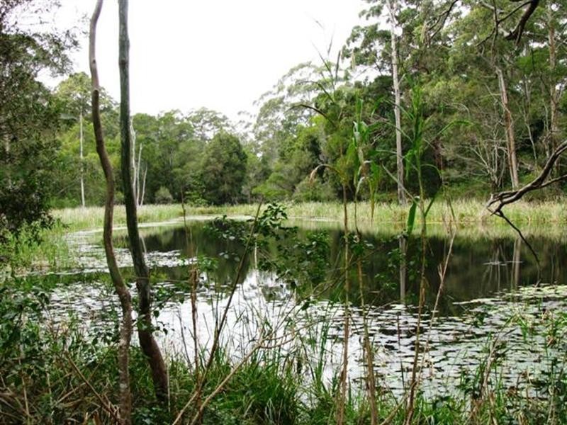 Lot 1 Pedwell Road, Mount Mee QLD 4521