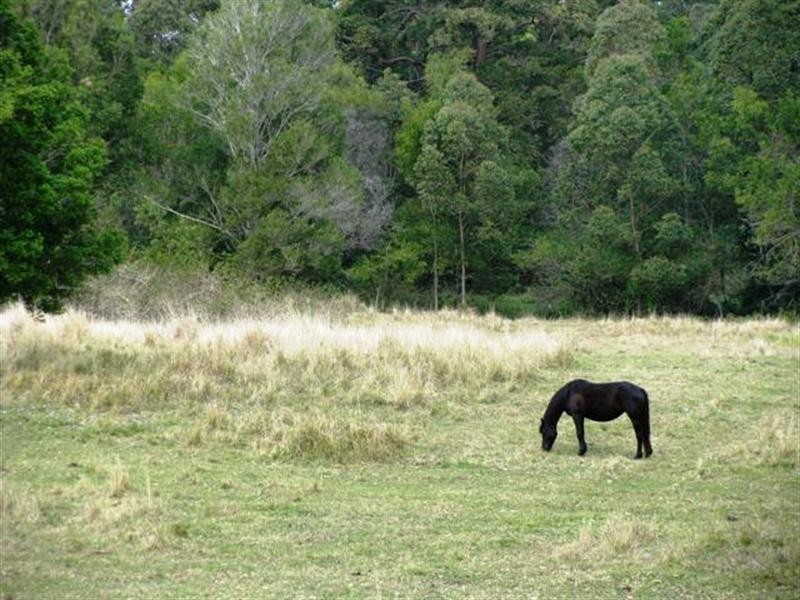 Lot 1 Pedwell Road, Mount Mee QLD 4521