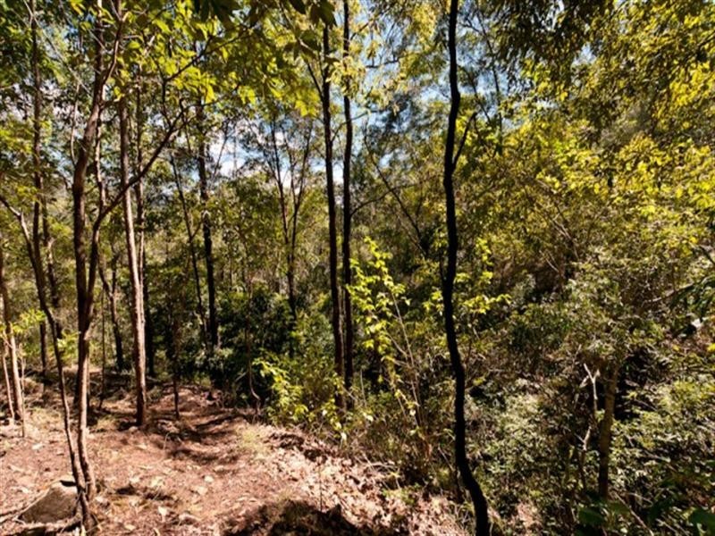 77 Macadamia Drive, Dayboro QLD 4521