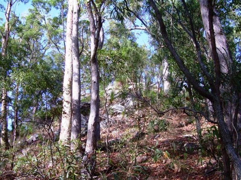 77 Macadamia Drive, Dayboro QLD 4521