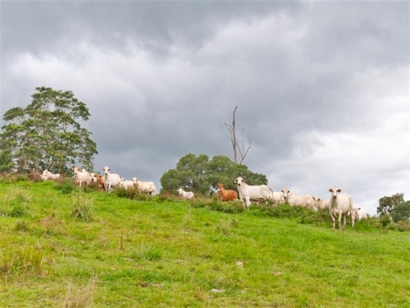 267 Lacey’s Creek Road, Dayboro QLD 4521