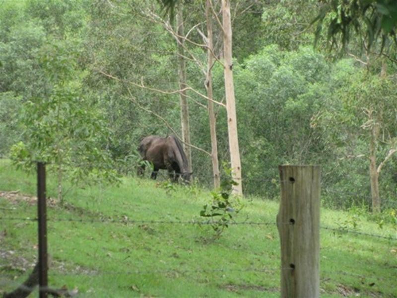 107 Pringles Road, Dayboro QLD 4521