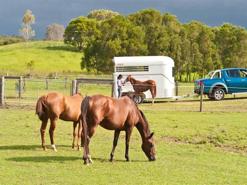 3 Butterfly Crescent, Samford QLD 4520