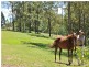 Kobble Creek QLD 4520